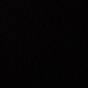 Meet your Posher, Ronnie